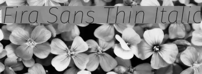 Fira Sans Thin Italic examples