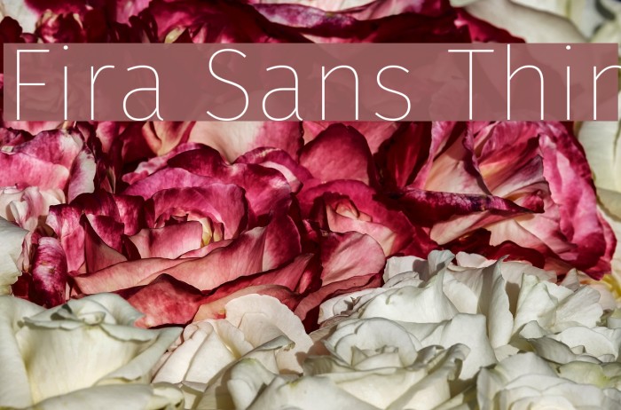 Fira Sans Thin Font examples