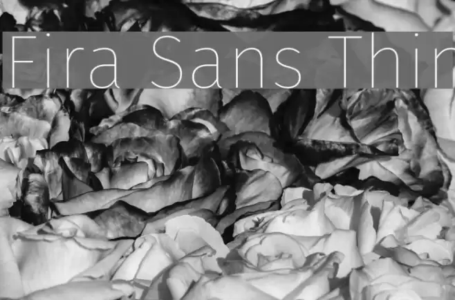 Fira Sans Thin Font examples