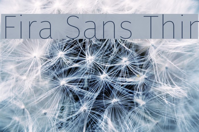 Fira Sans Thin Font examples
