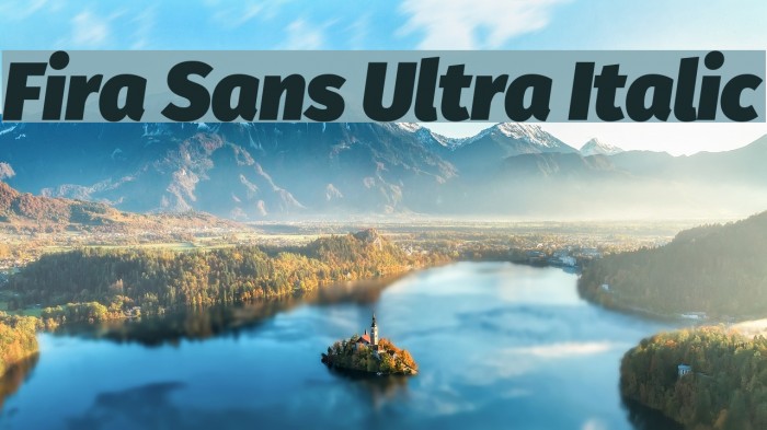 Fira Sans Ultra Italic Example 1
