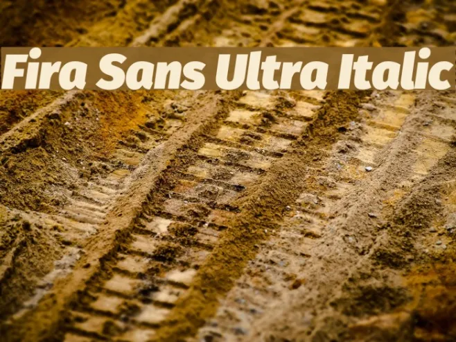 Fira Sans Ultra Italic Example 2