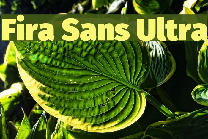 Fira Sans Ultra Font examples