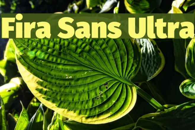 Fira Sans Ultra Example 1