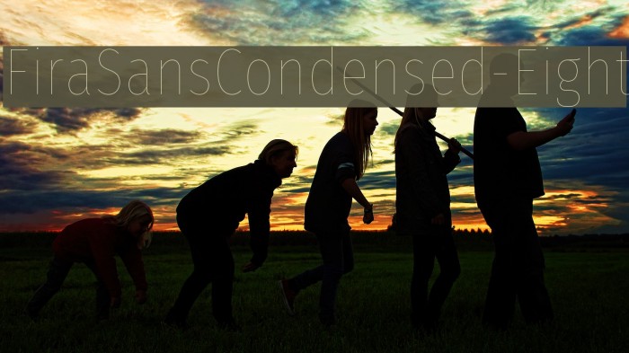 FiraSansCondensed-Eight Font examples
