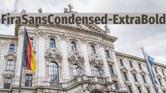 FiraSansCondensed-ExtraBold Font examples