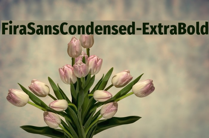 FiraSansCondensed-ExtraBold Font examples