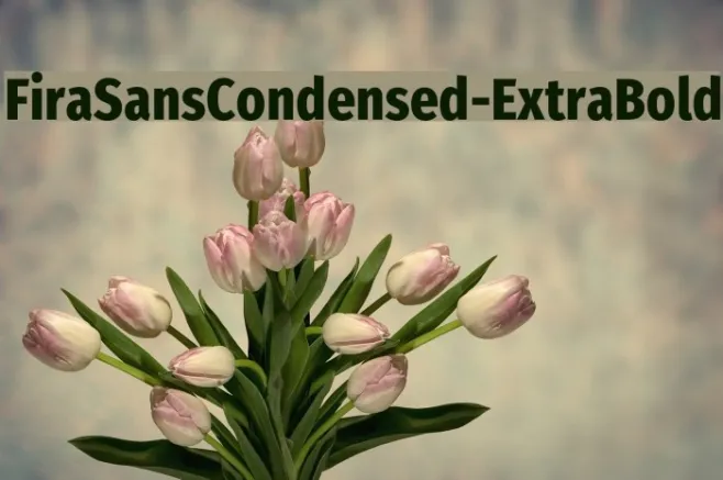 FiraSansCondensed-ExtraBold Example 3