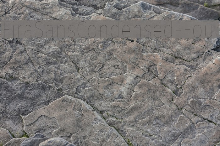 FiraSansCondensed-Four Font examples