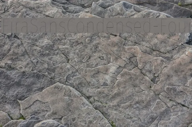 FiraSansCondensed-Four Example 1