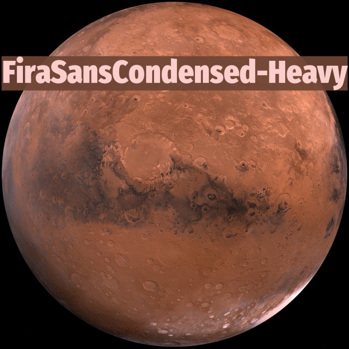 FiraSansCondensed-Heavy Example 1