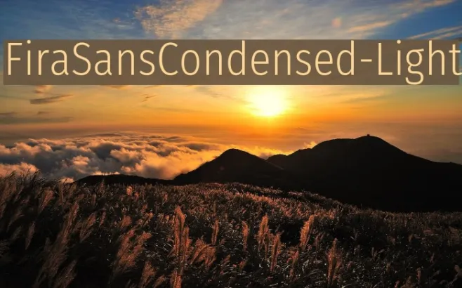 FiraSansCondensed-Light Example 1