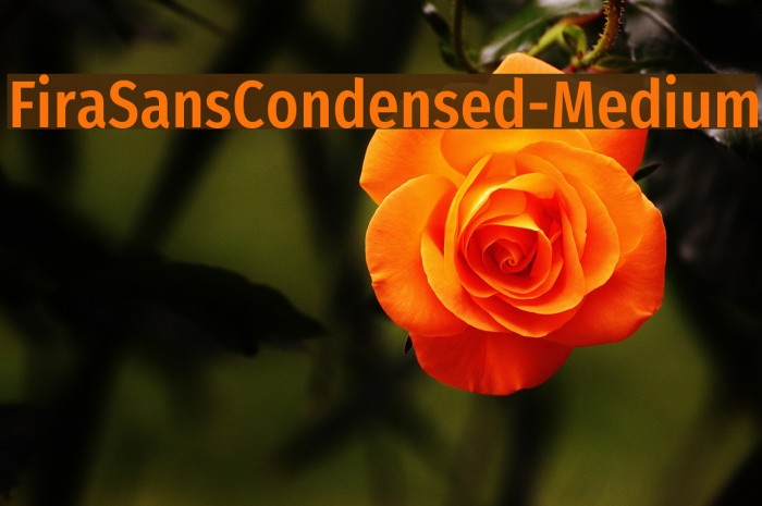 FiraSansCondensed-Medium Font examples