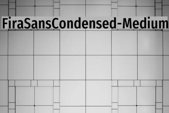 FiraSansCondensed-Medium Example 2