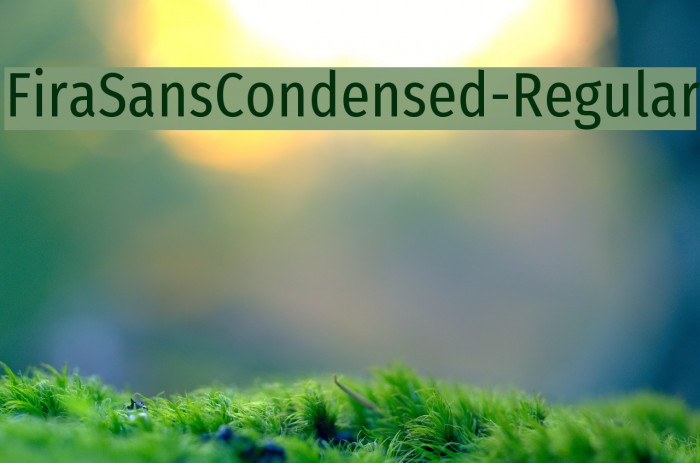 FiraSansCondensed-Regular Font examples