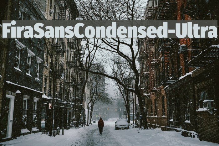 FiraSansCondensed-Ultra Example 1