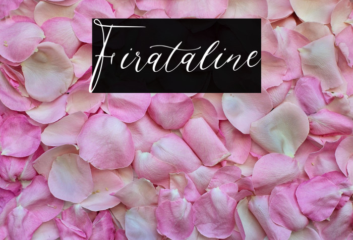 Firataline Example 1