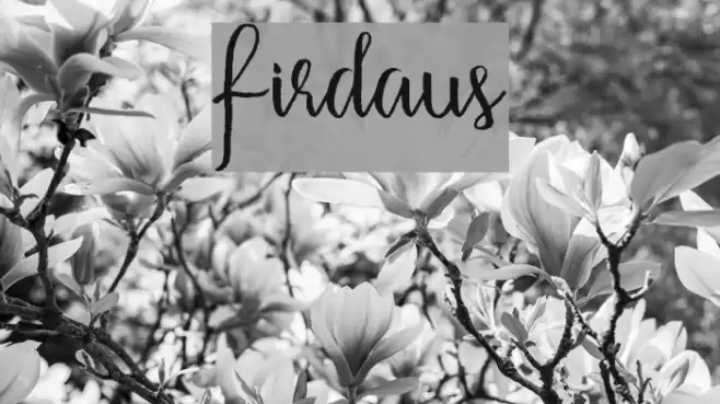 Firdaus Font examples