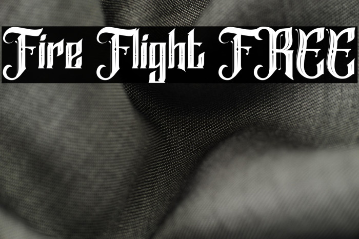 Fire Flight FREE Example 2