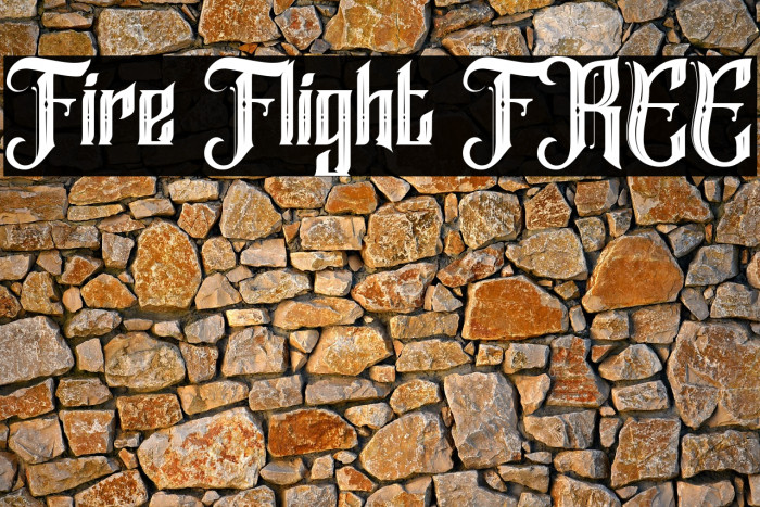 Fire Flight FREE Example 3