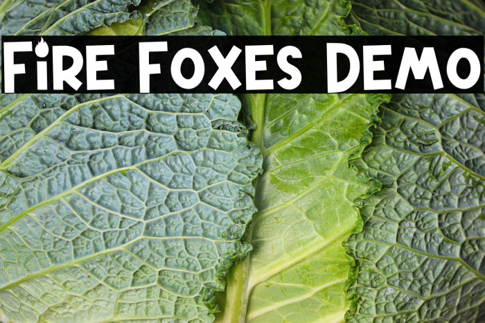 Fire Foxes Demo Example 3