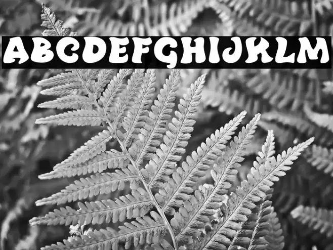 Fire Hole Font examples