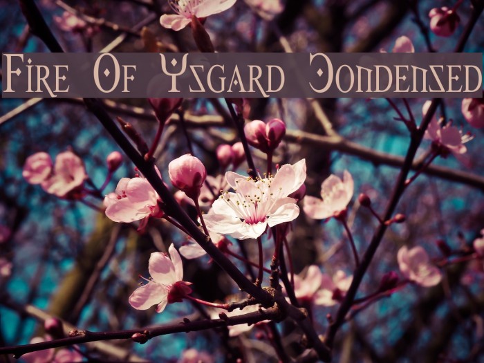 Fire Of Ysgard Condensed Font examples