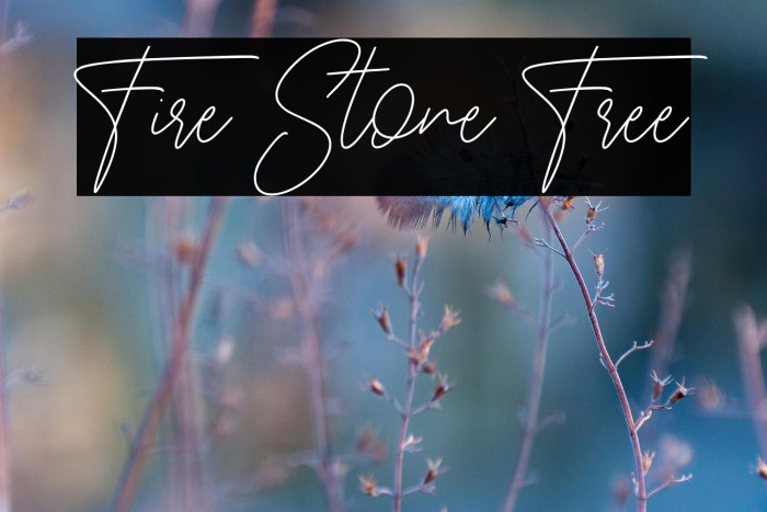 Fire Stone Free Example 1