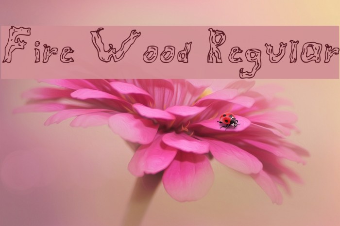 Fire Wood Regular Font examples