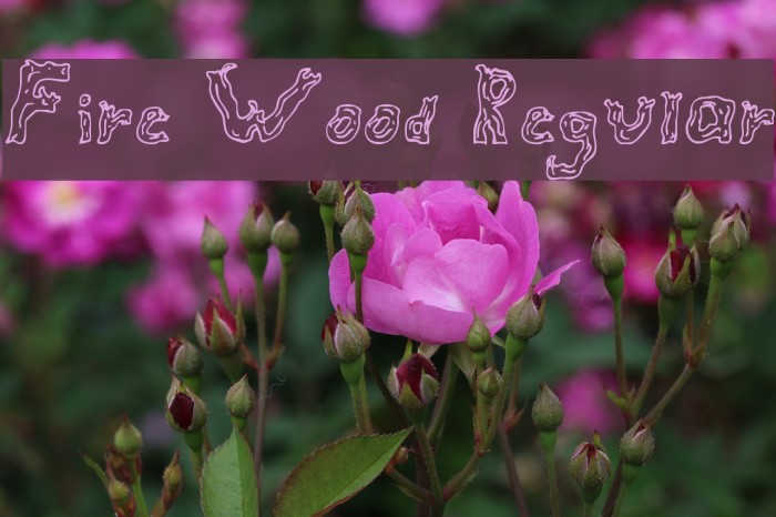 Fire Wood Regular Font examples