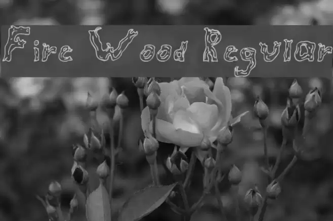 Fire Wood Regular フォント examples