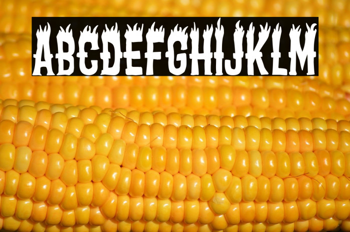 Fire in the West Valley Example 1