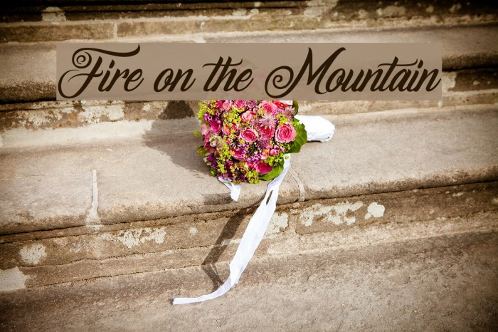 Fire on the Mountain Font examples