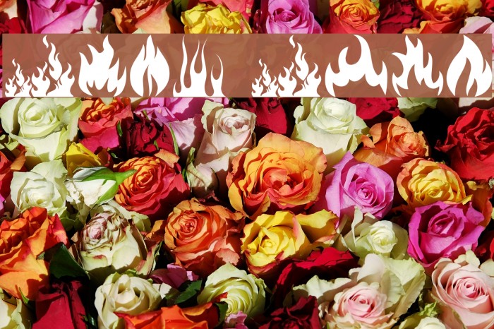 Fire Font examples