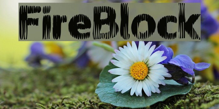 FireBlock Font examples