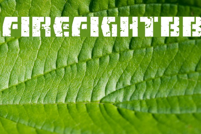 FireFightBB Example 1