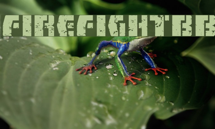 FireFightBB Example 3