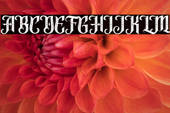 FireFlightFREE Example 1