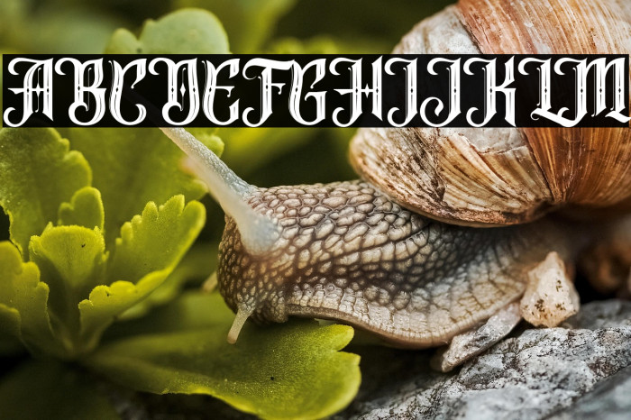 FireFlightFREE Example 3