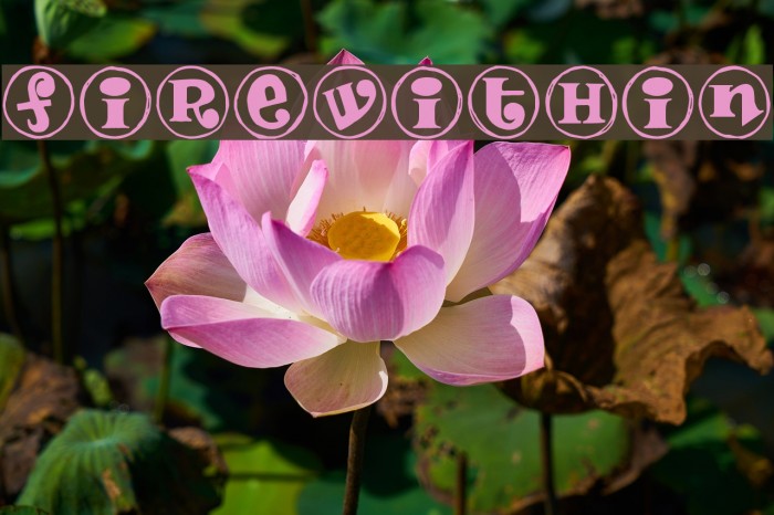 FireWithin Example 2