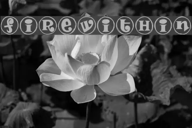 FireWithin Font examples