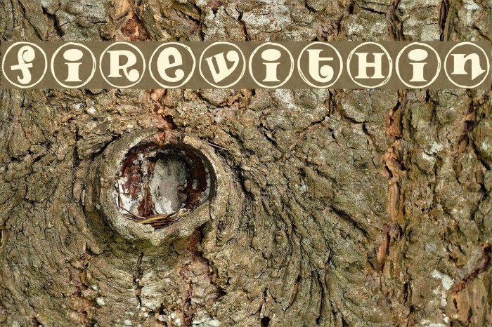 FireWithin Example 3