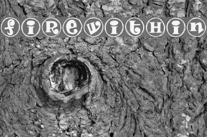 FireWithin Font examples