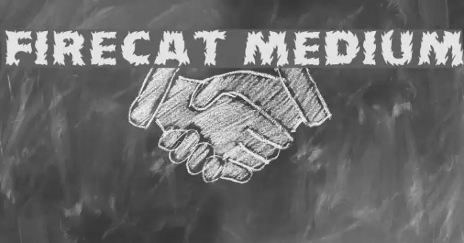 Firecat Medium Fonte examples