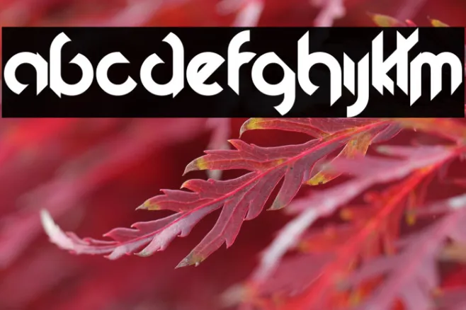 Fireflies Example 3