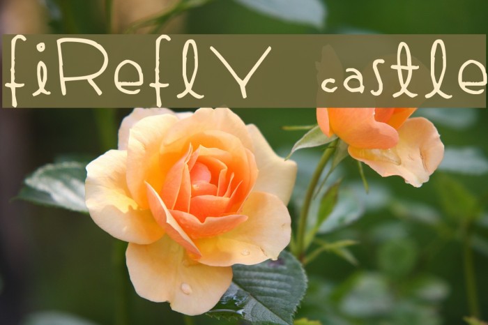 Firefly Castle Font examples