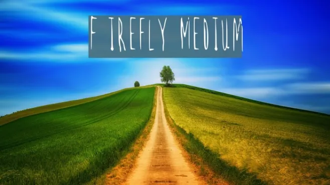 Firefly Medium Example 3