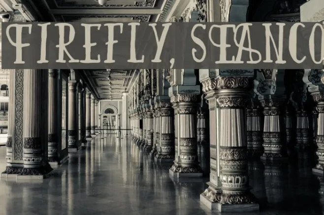 Firefly, SEANCo Example 2