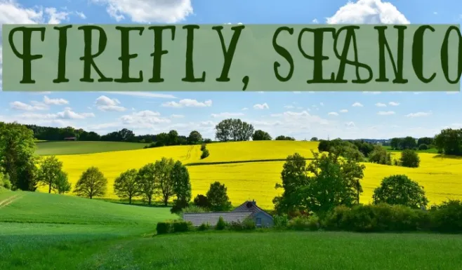 Firefly, SEANCo Example 3