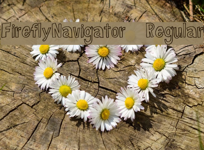 FireflyNavigator-Regular Font examples